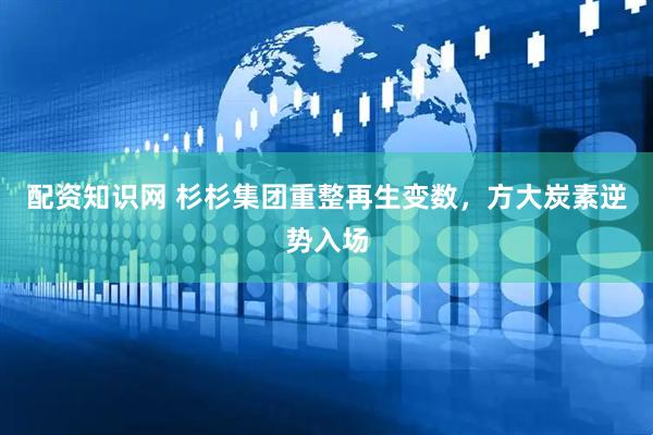 配资知识网 杉杉集团重整再生变数，方大炭素逆势入场