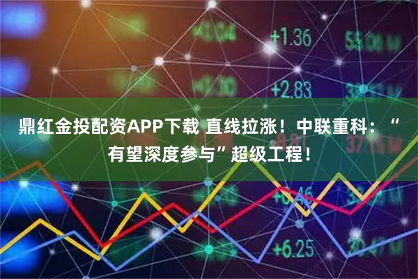 鼎红金投配资APP下载 直线拉涨！中联重科：“有望深度参与”超级工程！