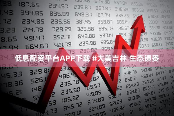 低息配资平台APP下载 #大美吉林 生态镇赉